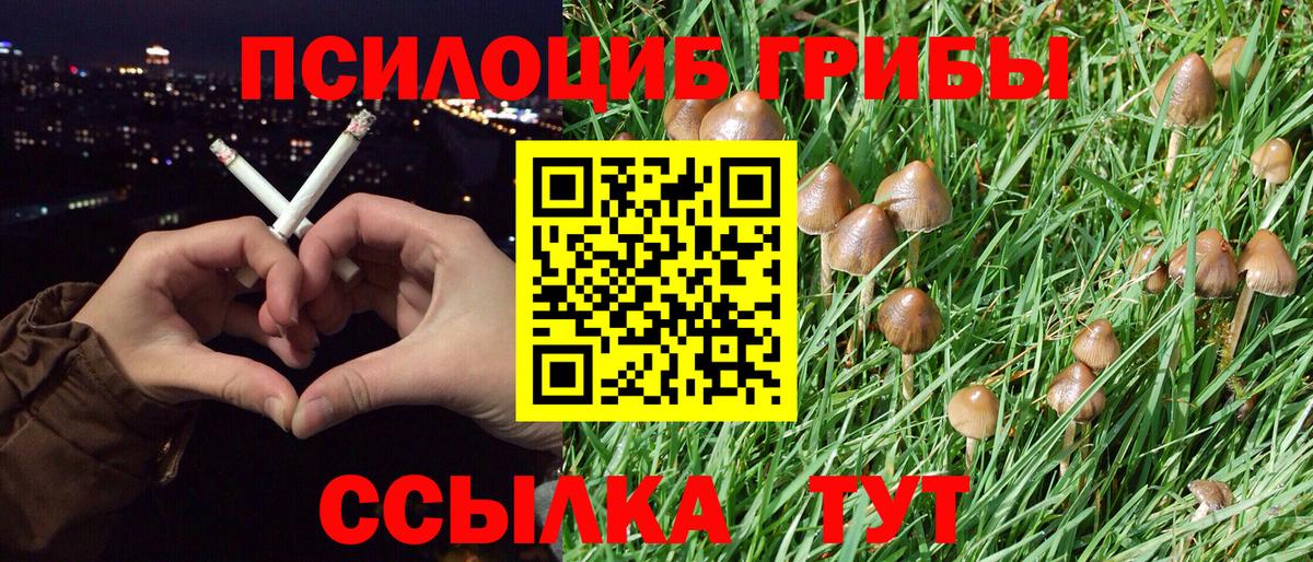 Галлюциногенные грибы прущие грибы Ирбит
