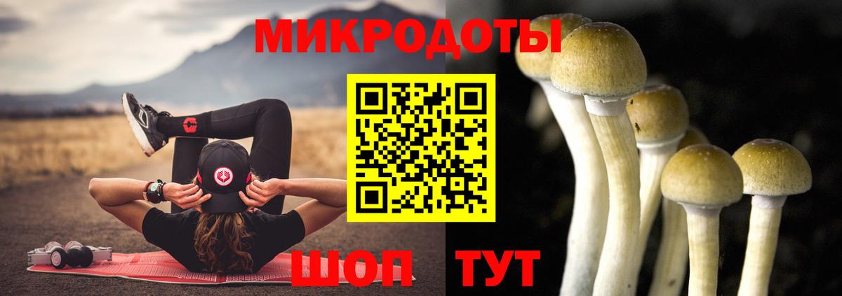 Псилоцибиновые грибы ЛСД  Вход с VPN  Ирбит  как найти наркотики  Псилоцибиновые грибы Psilocybe 